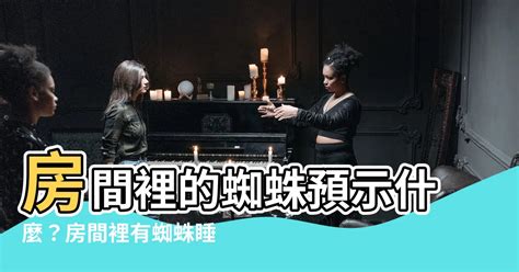 房間為什麼有蜘蛛|【房間為什麼有蜘蛛】連掉落一根頭髮都有人看到！原來房間有蜘。